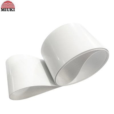 Bande transporteuse de tabac